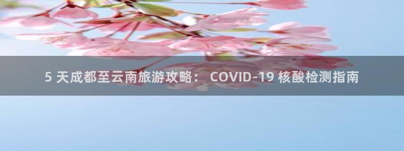 云顶国际平台网址多少|5 天成都至云南旅游攻略： COVID-19 核酸检测指南